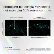 Een infographic op een licht holografische achtergrond met de titel “Verhoogt natuurlijke vernieuwing met meer dan 50% ten opzichte van de controle”. Twee microscopische dwarsdoorsneden van de huid vergelijken een “Controle” met “Exo-PDRN Prismatic+”.